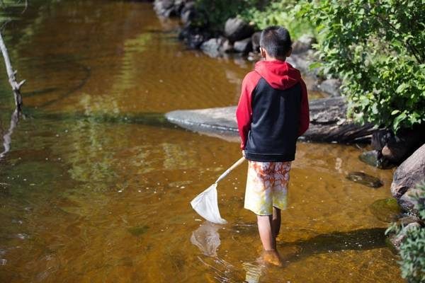 A child in a creek bed holding a net.