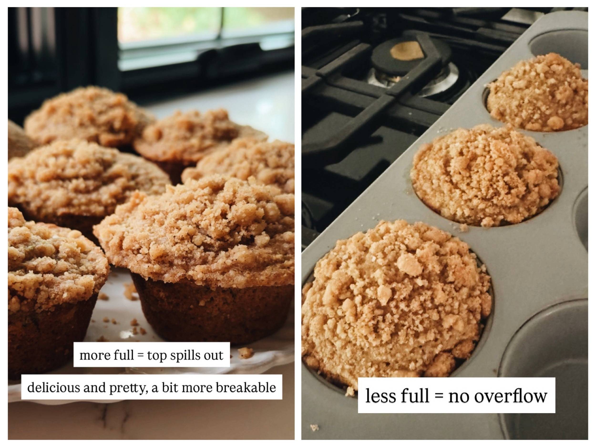 Dessert, Food, Muffin