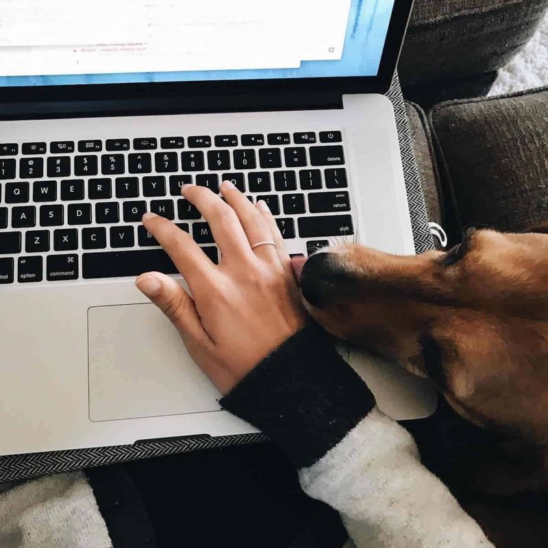 Lindsay typing on a laptop.