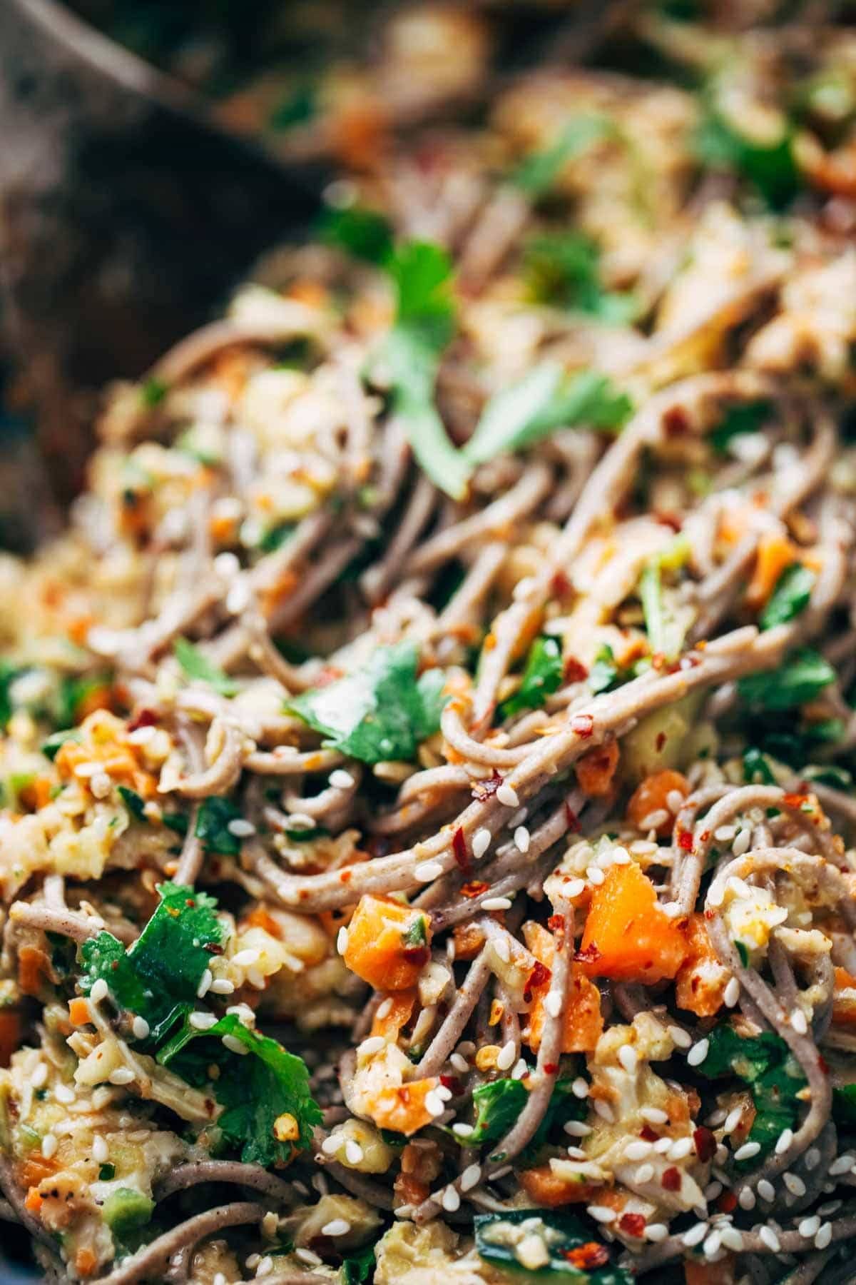 Close up sesame-peanut noodles.