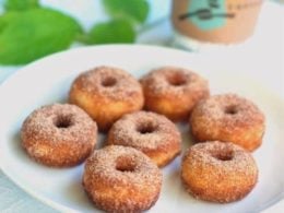 Cinnamon Sugar Mini Donuts - Tornadough Alli