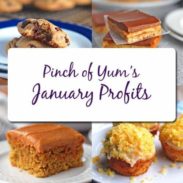 Pinch of Yum January Profits