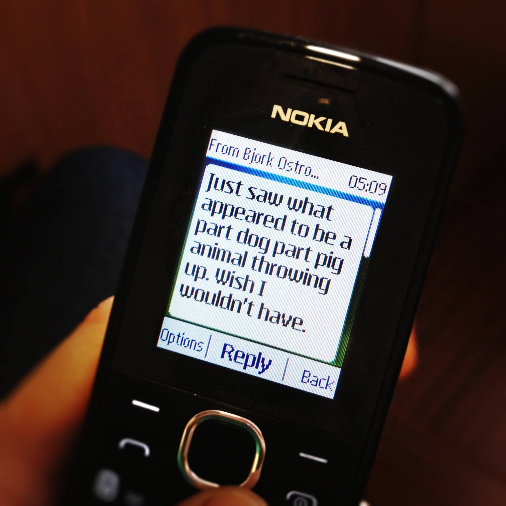 Text message on a Nokia phone.