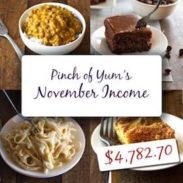 Making Money from a Food Blog - November