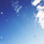A kite against a blue sky.