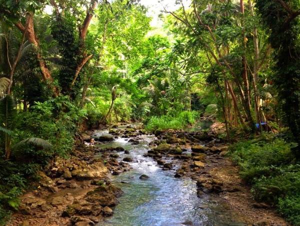 River running through the jungle.