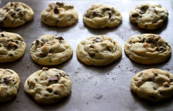 Chocolate chip cookies on a baking pan.