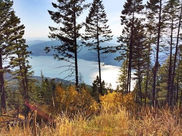 Montana view.