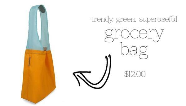 Grocery Bag.