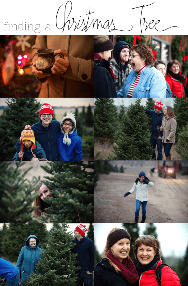 Christmas tree farm collage photos.