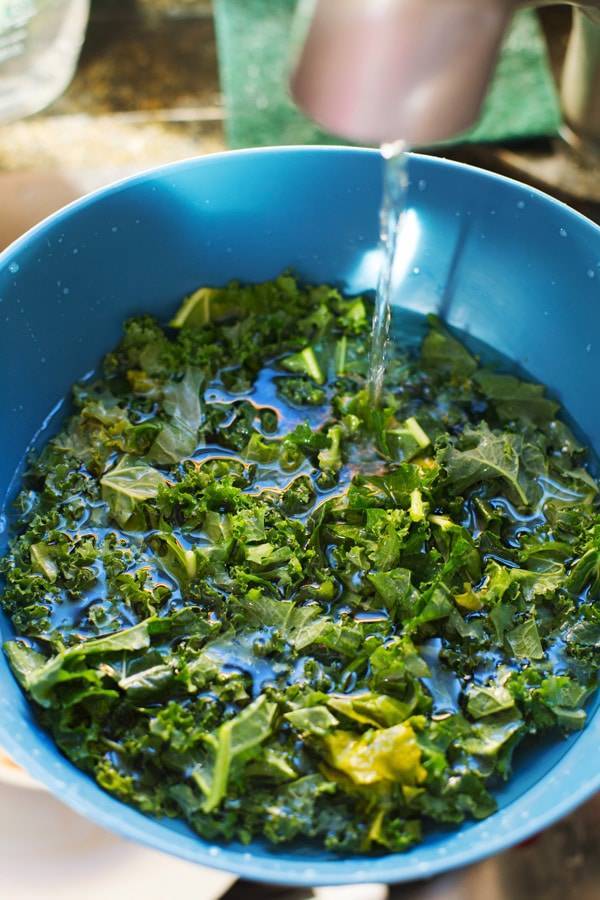 Fresh Kale in a blue bowl.