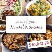 Total Blog Income for NovemberTotal Blog Income for November