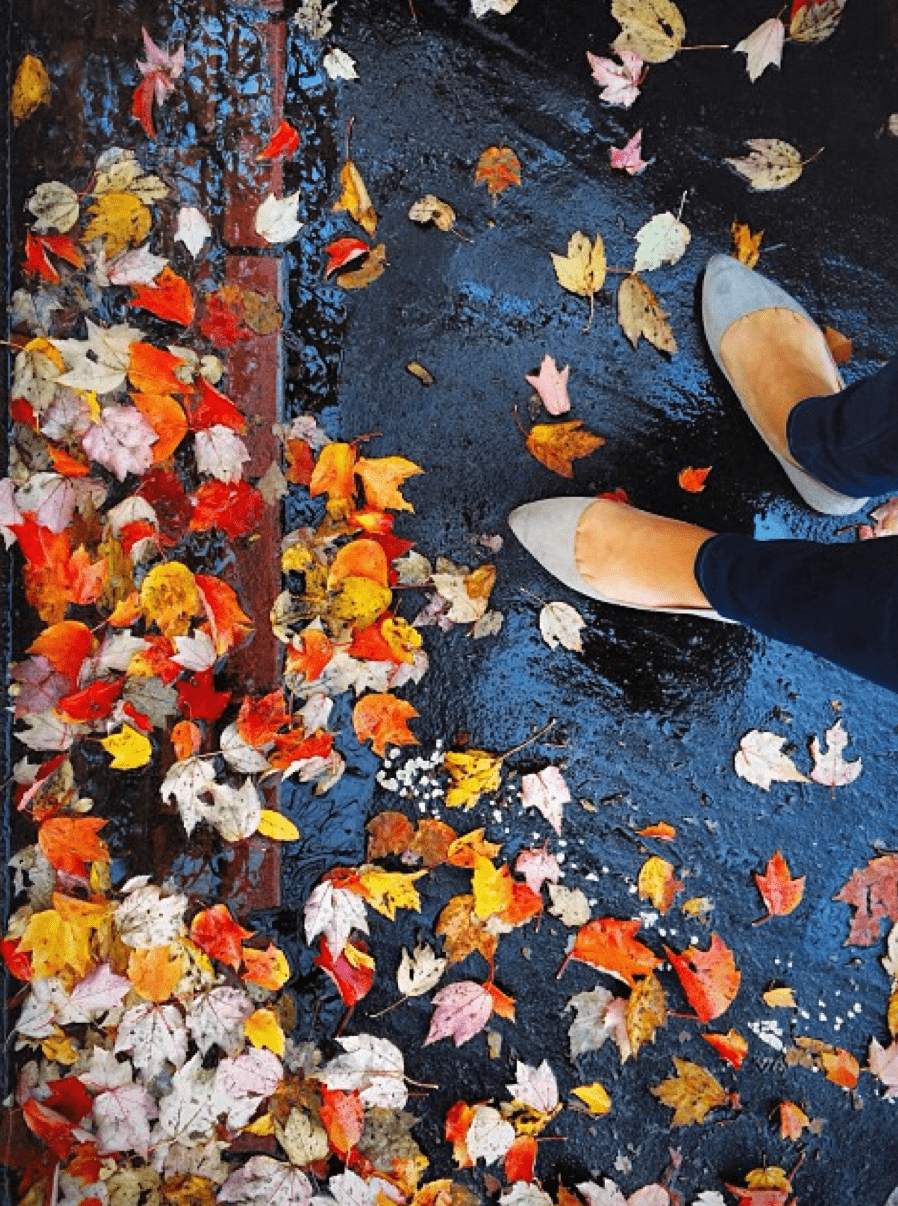 Shoes near fall leaves.