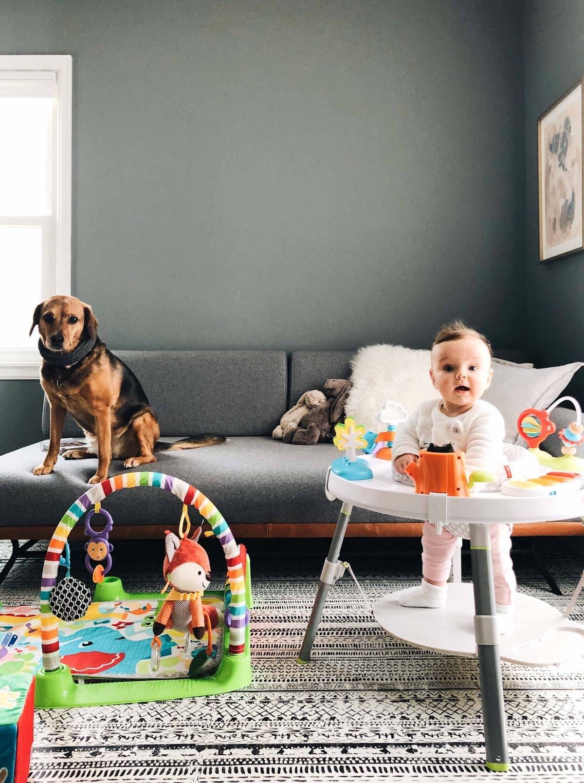 A baby playing in a room with a dog on the couch.