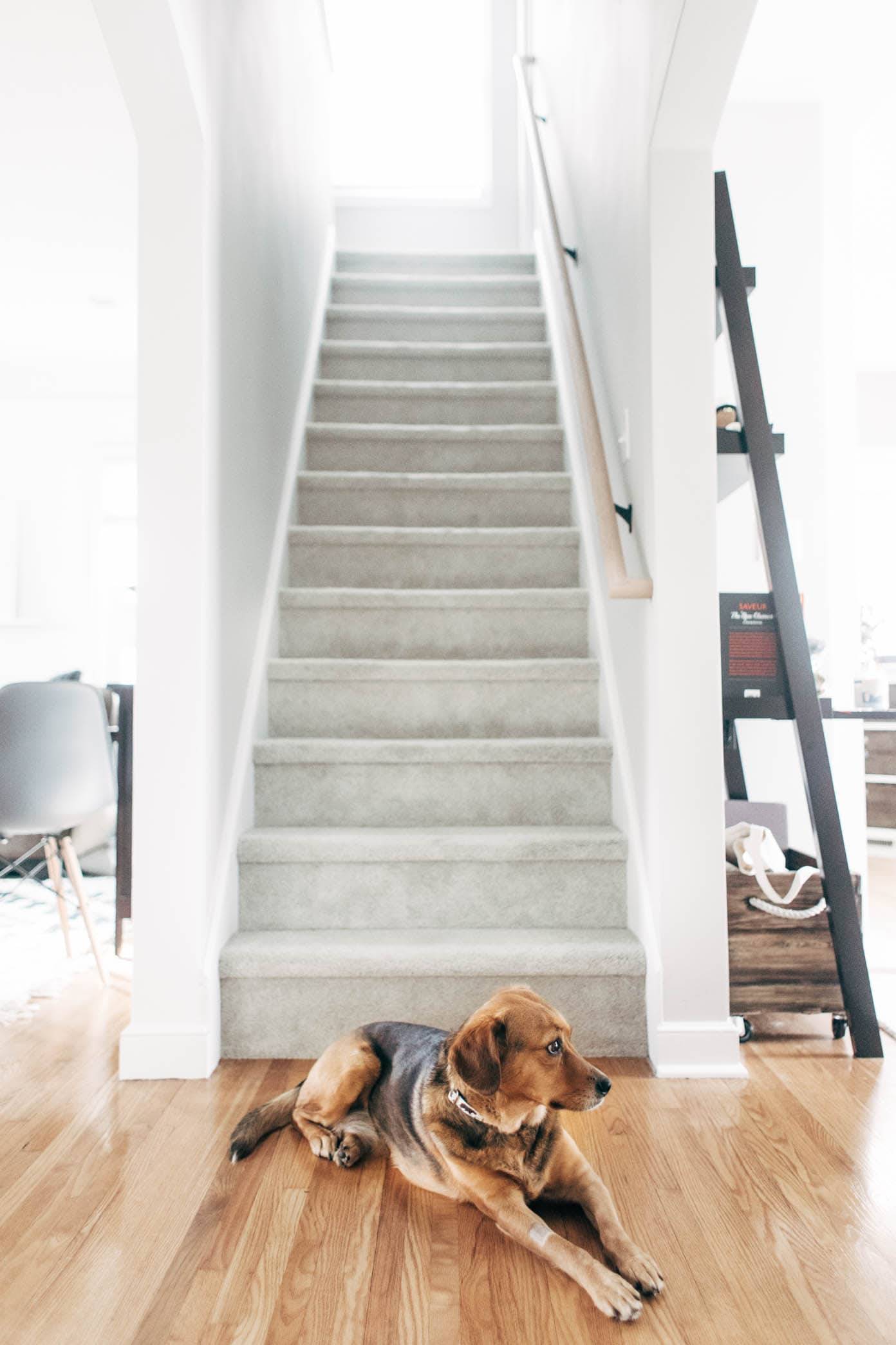 Stairs to Attic