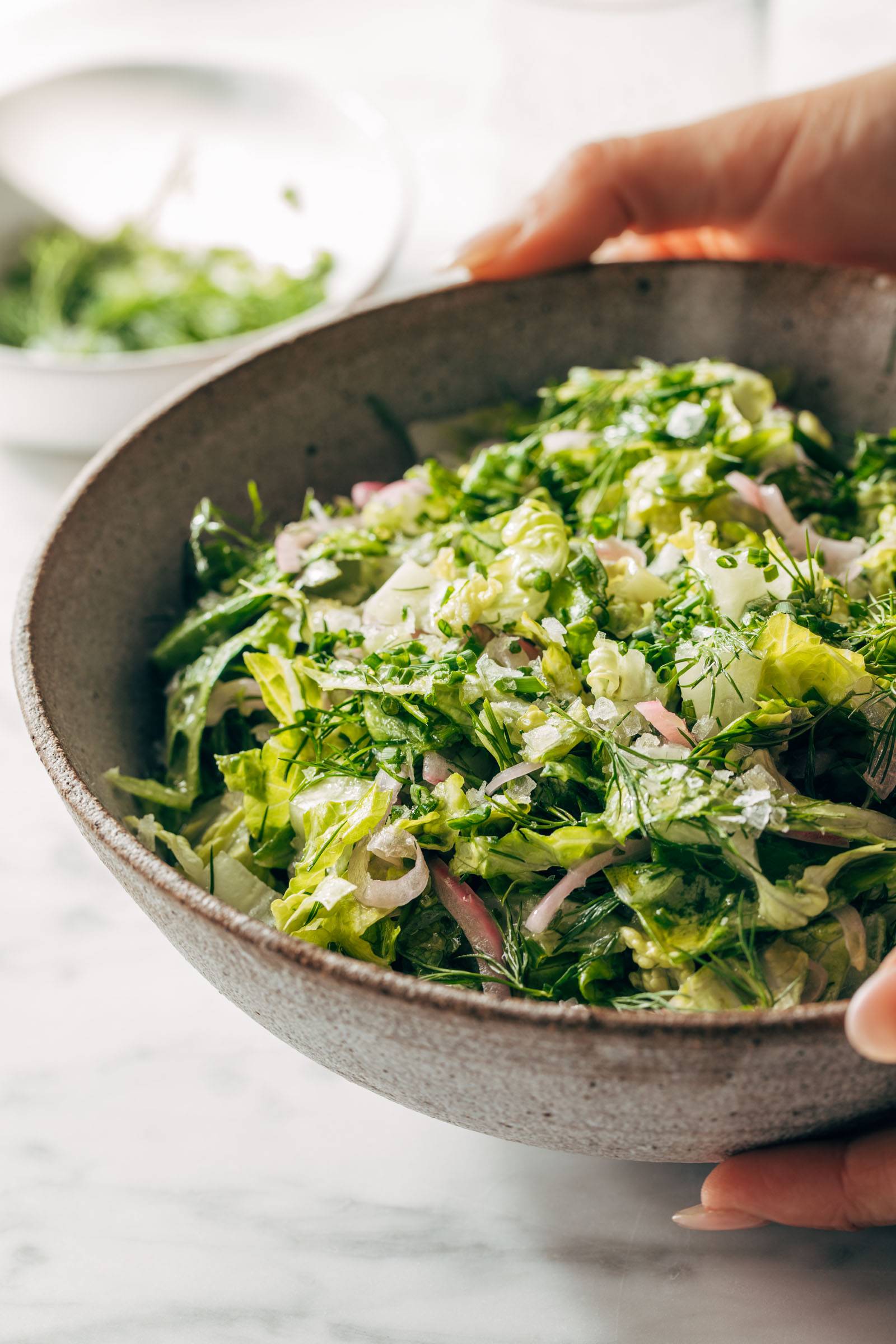 Salad with lettuce, fresh herbs, and pickled onions in a bowl.