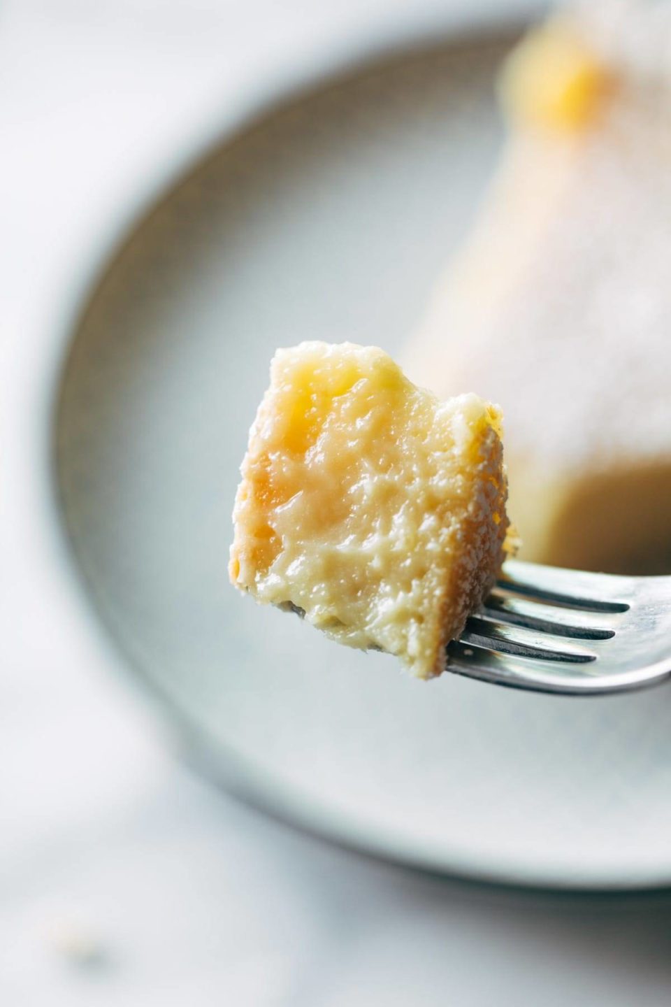 Blender Lemon Pie Recipe Pinch of Yum