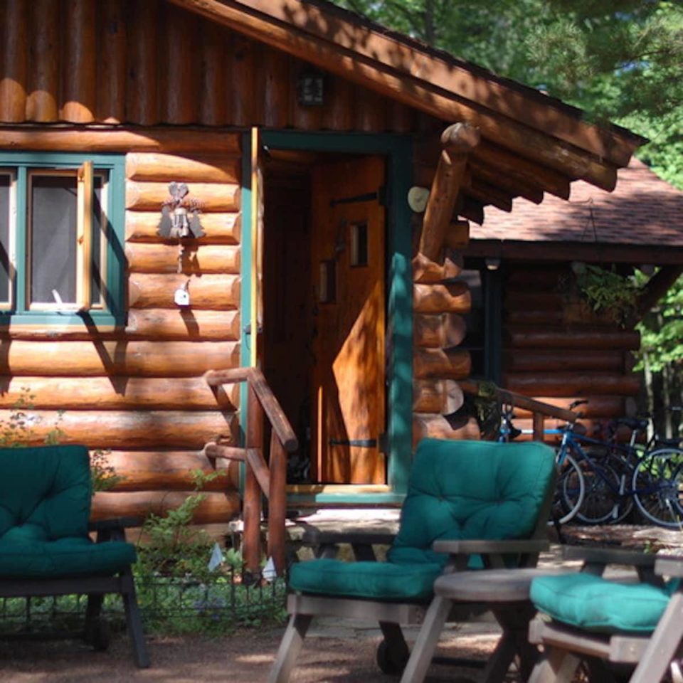 Creamy Basil Dip Recipe Pinch of Yum