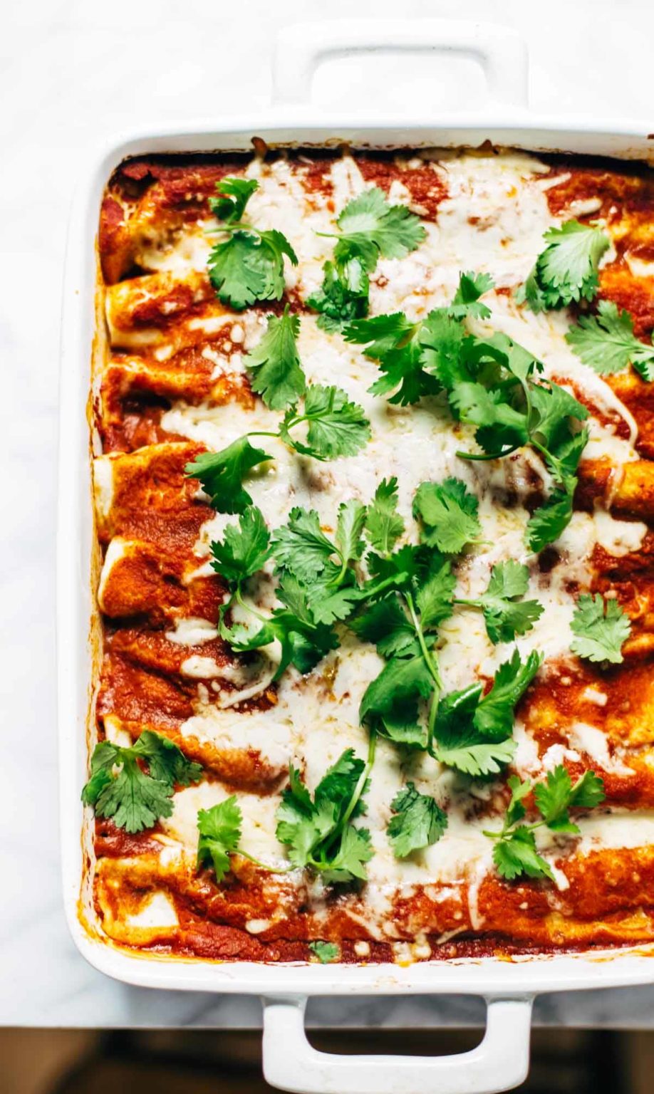 Lazy Girl Chicken Quinoa Enchiladas Recipe Pinch of Yum