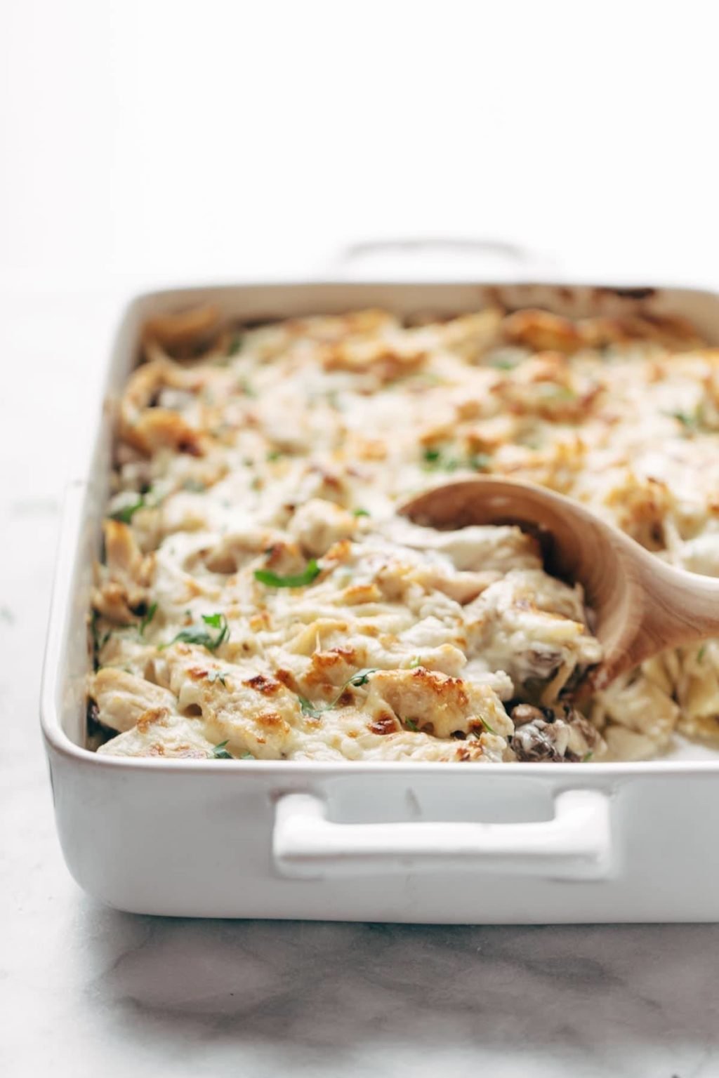 Chicken Tetrazzini Recipe - Pinch of Yum