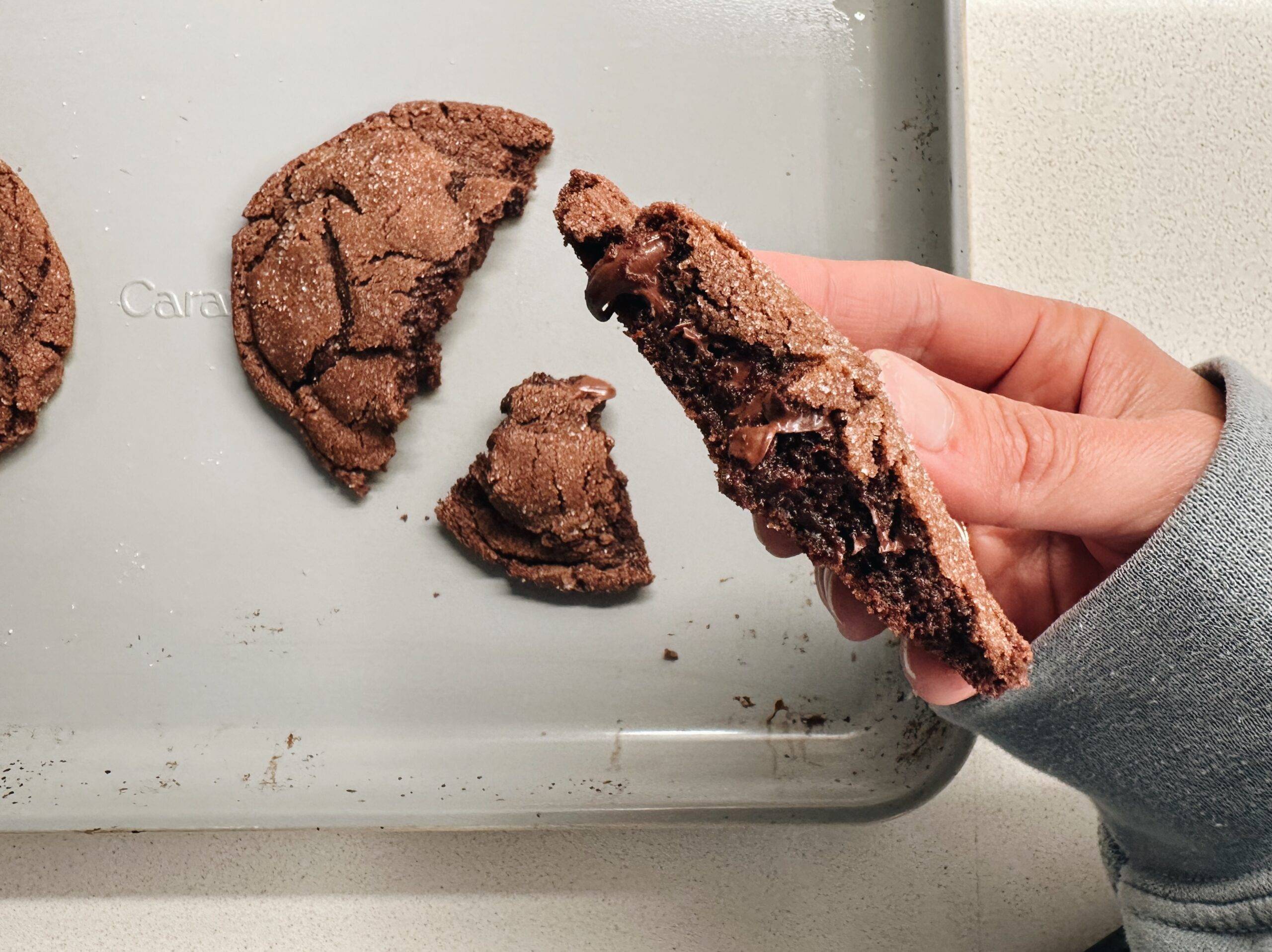 Hand holding a chocolate cookie.