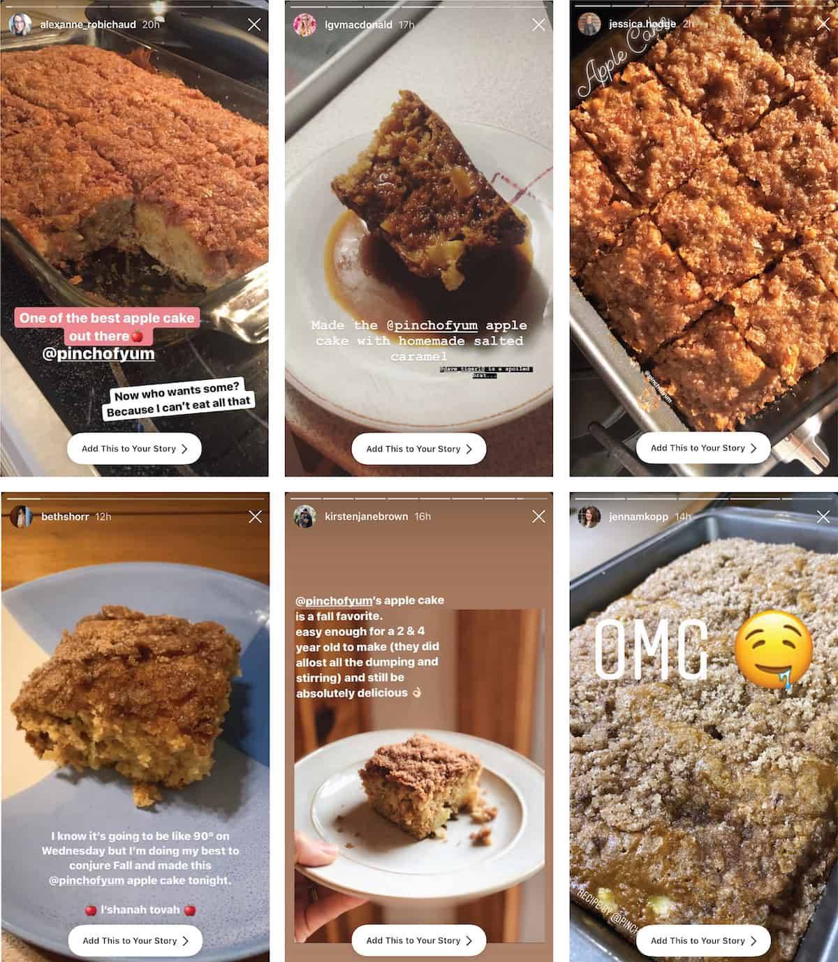 Instagram images of Cinnamon Sugar Apple Cake.