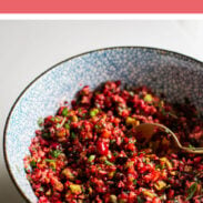 Cranberry salsa pin.