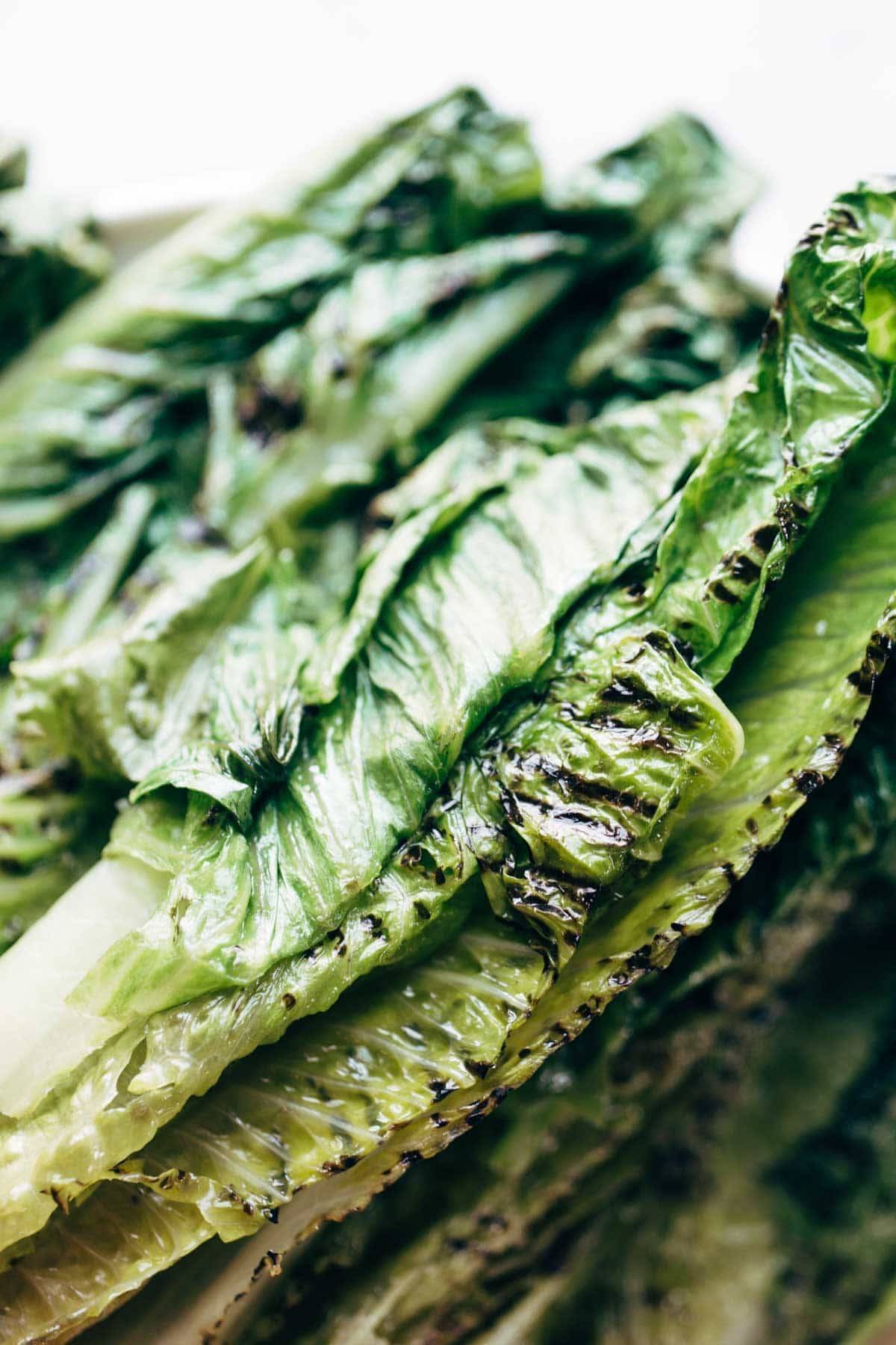 Grilled Romaine.