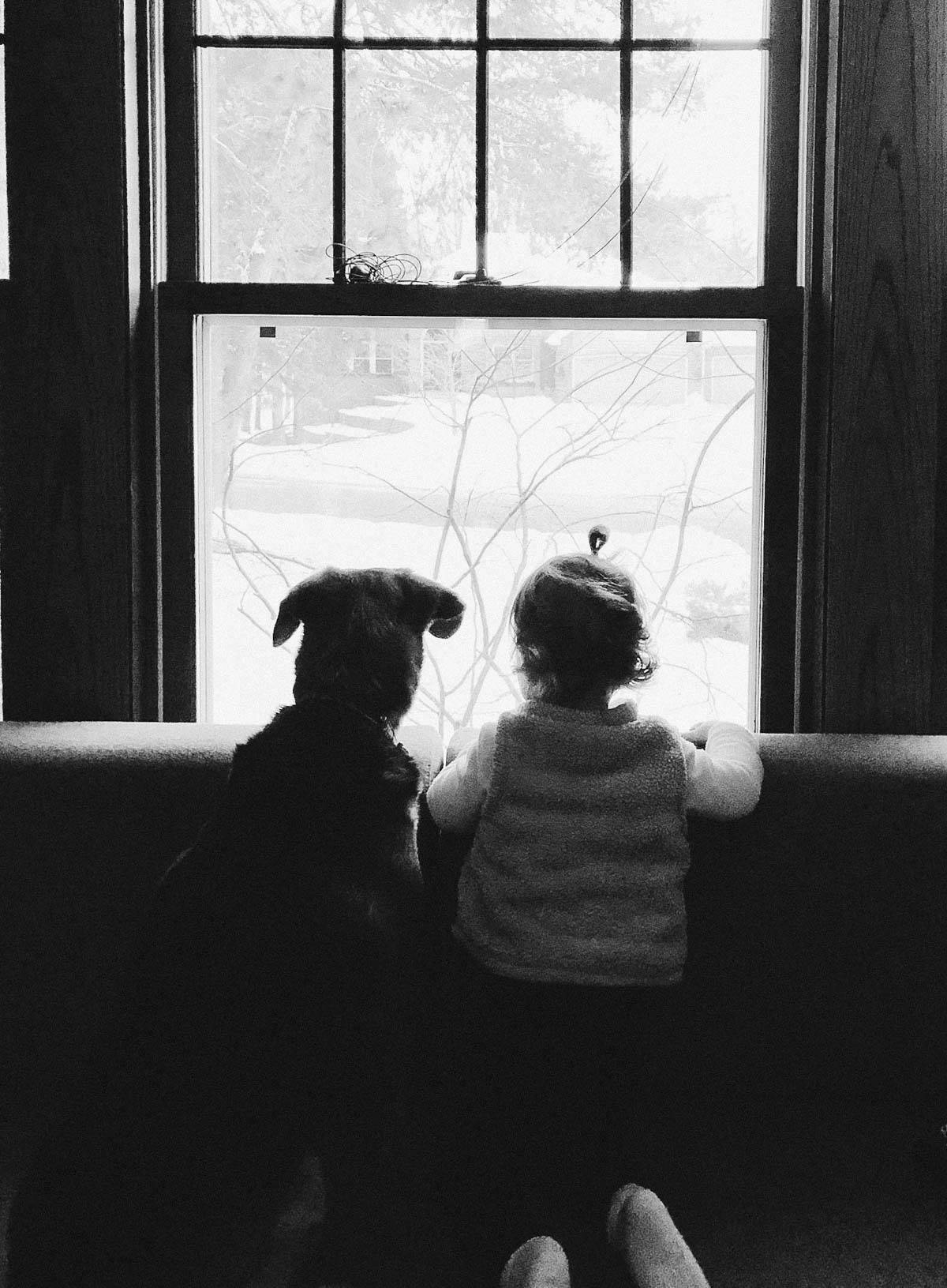 A girl and a dog peer out of the window.