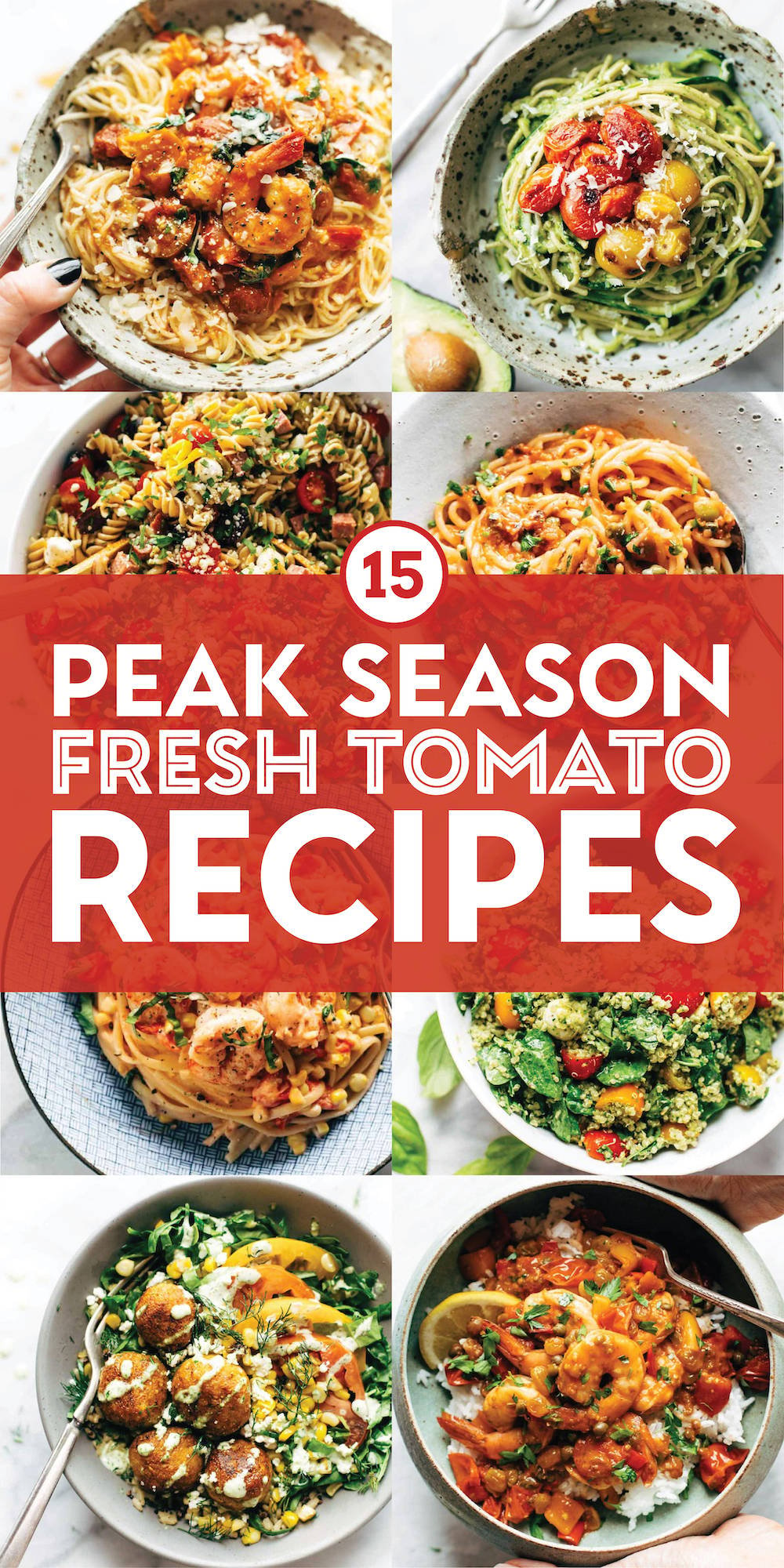 15 Peak Season Fresh Tomato Recipes Pinch Of Yum   Fresh Tomato Recipes Pin 