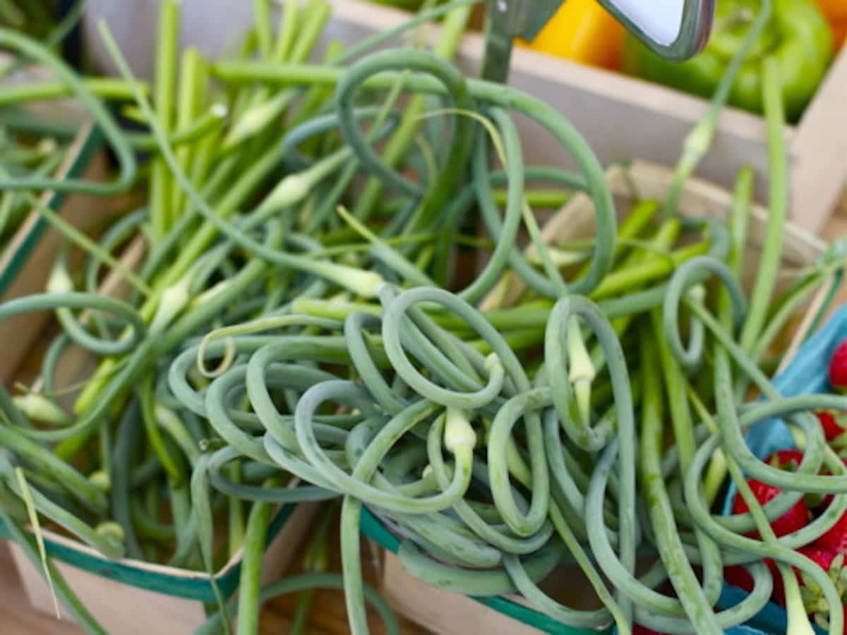 Stringy green veggies.