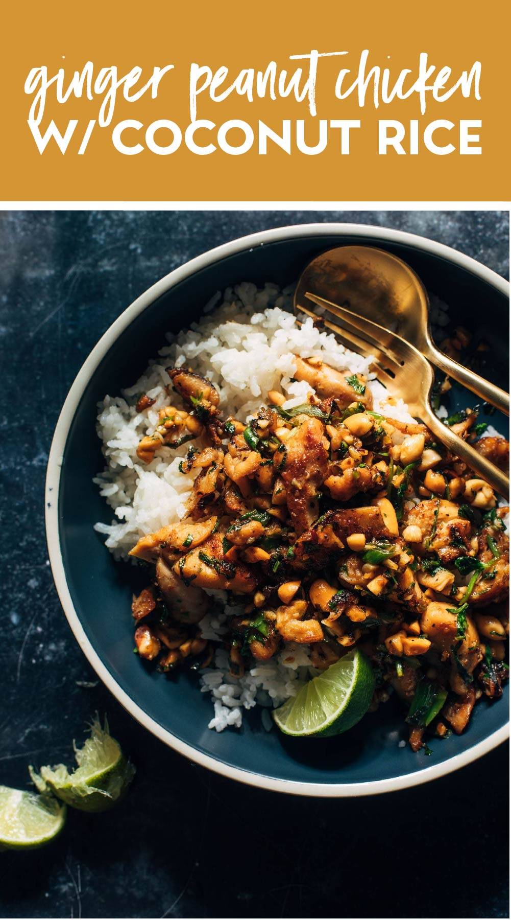 Ginger-Peanut-Chicken With Coconut Rice Pin
