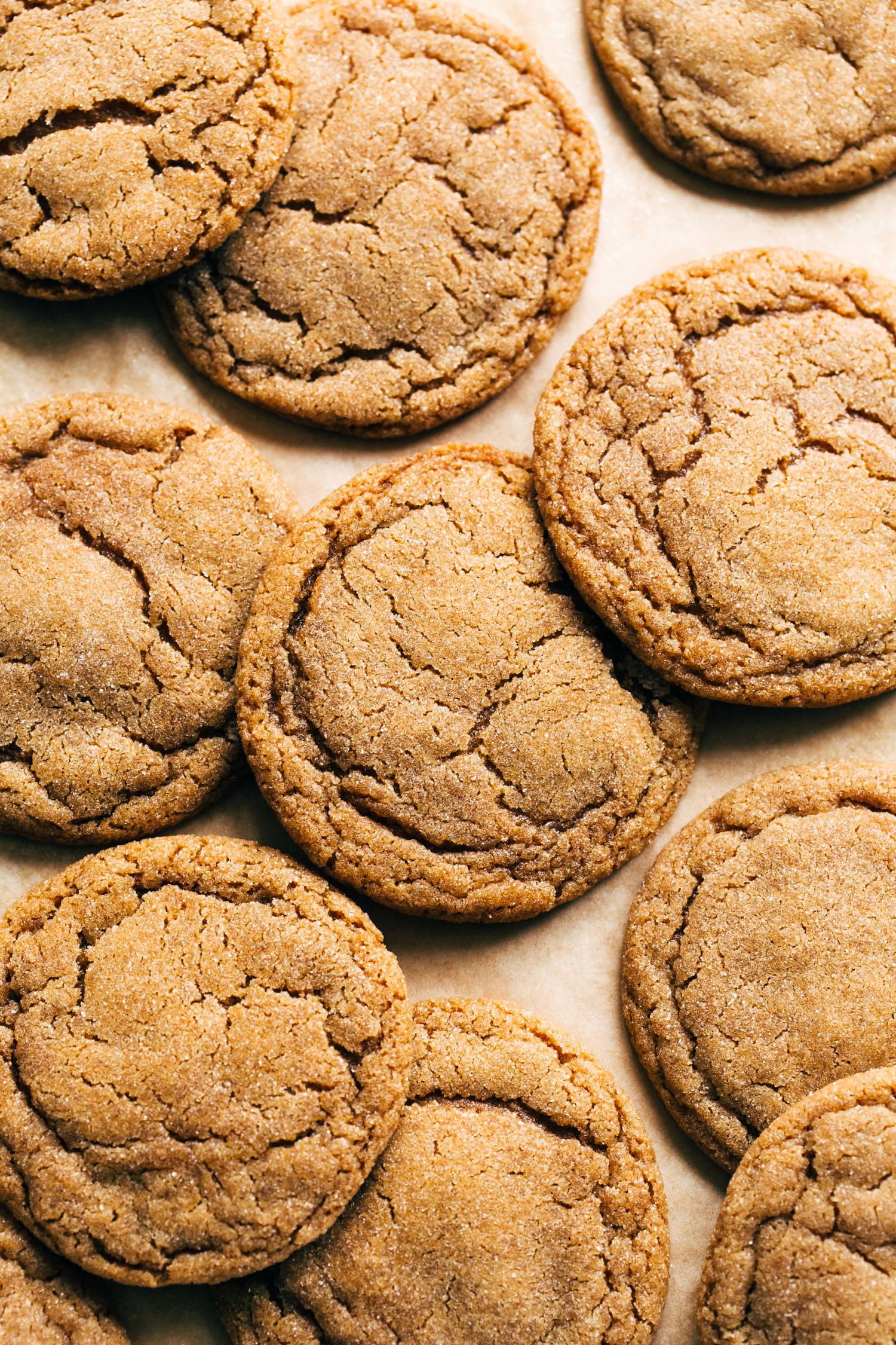 Gingerbread cookies on a sheet pan