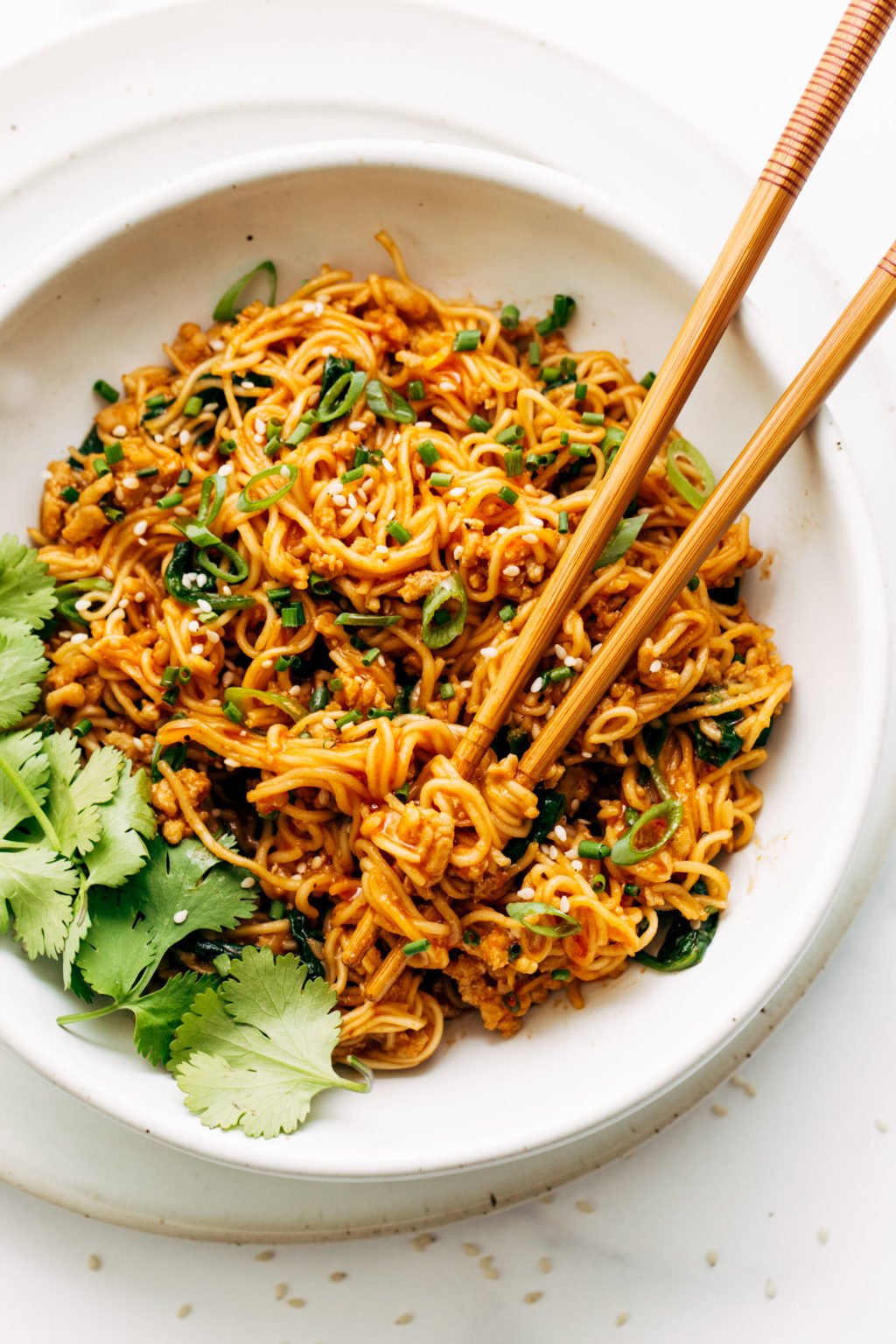 saucy-gochujang-noodles-with-chicken-recipe-pinch-of-yum