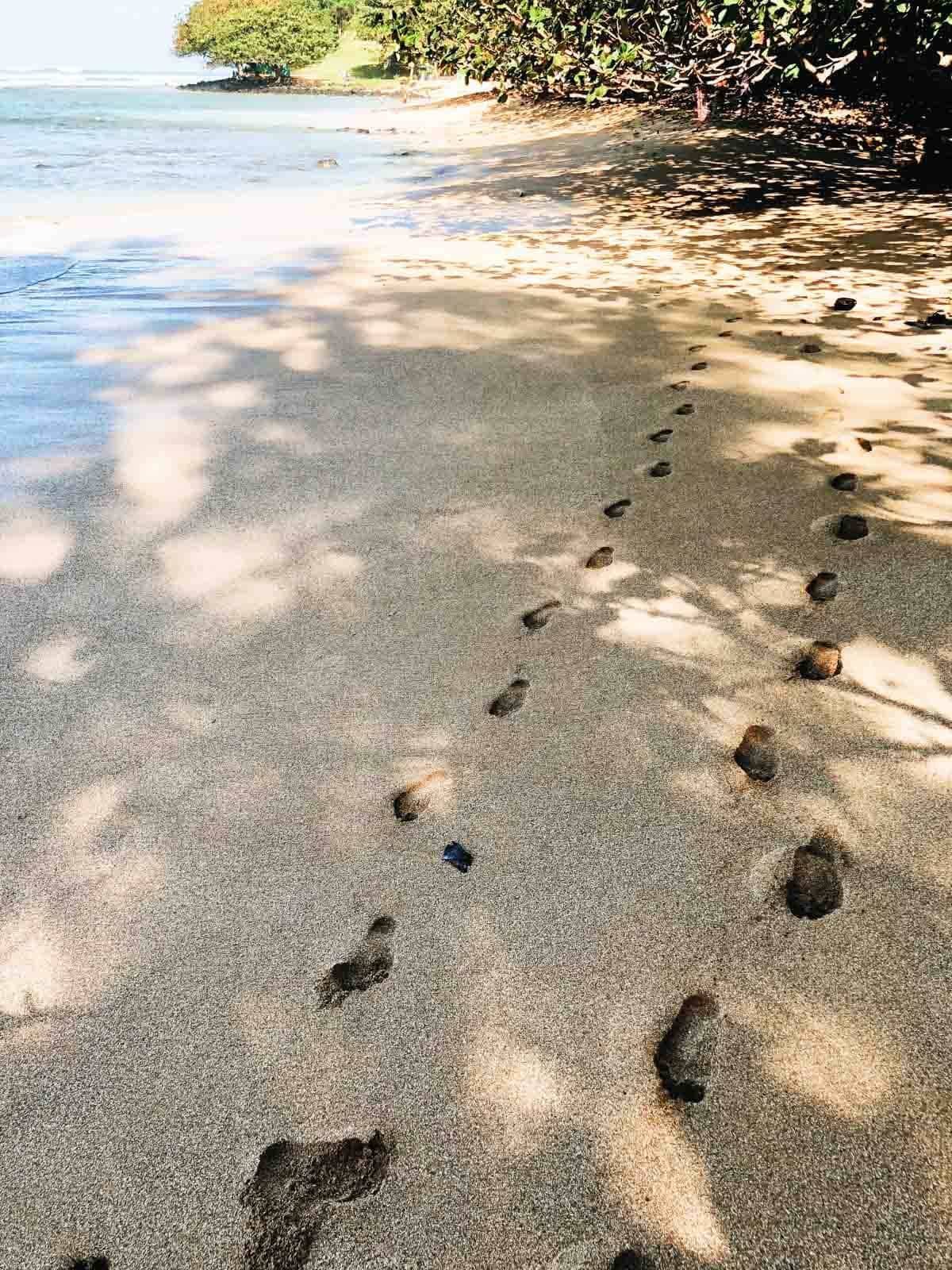 Footprints in the sand.