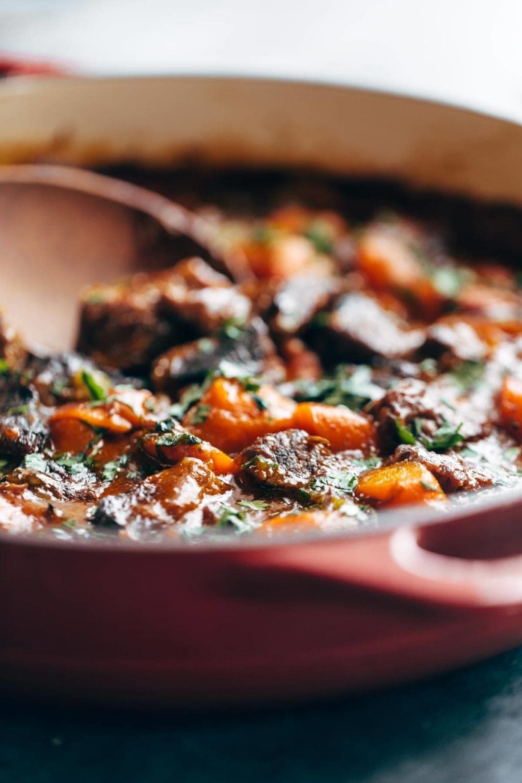 Life Changing Instant Pot Beef Stew Recipe Pinch of Yum