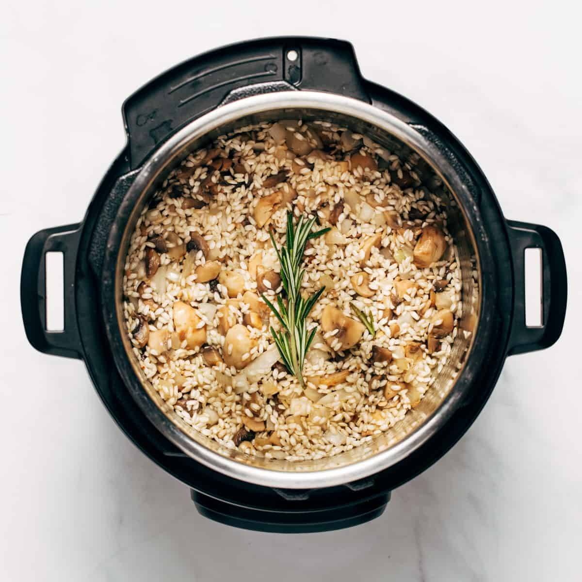 20 Magical Ways to Use Your Instant Pot - Pinch of Yum