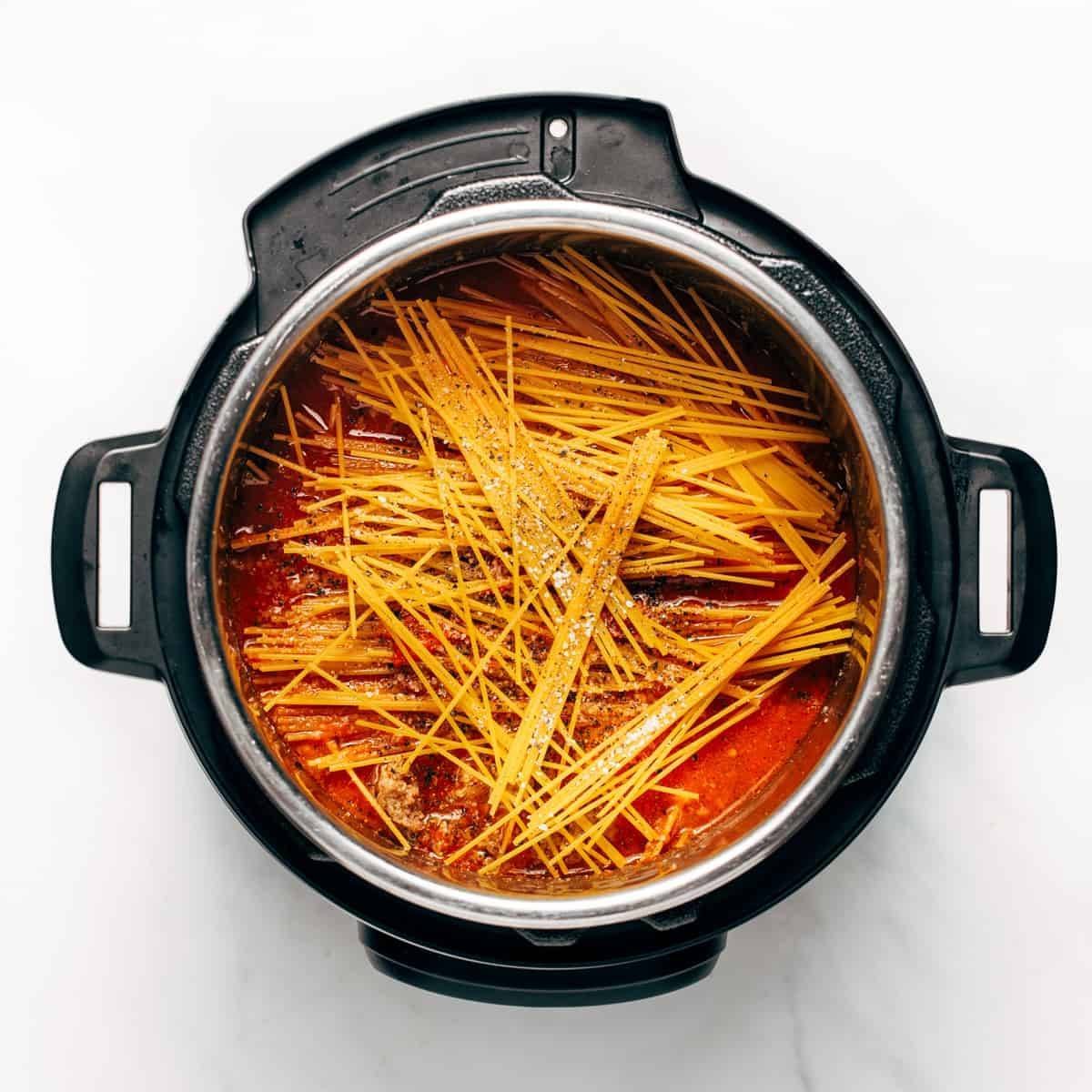 20 Magical Ways to Use Your Instant Pot Pinch of Yum