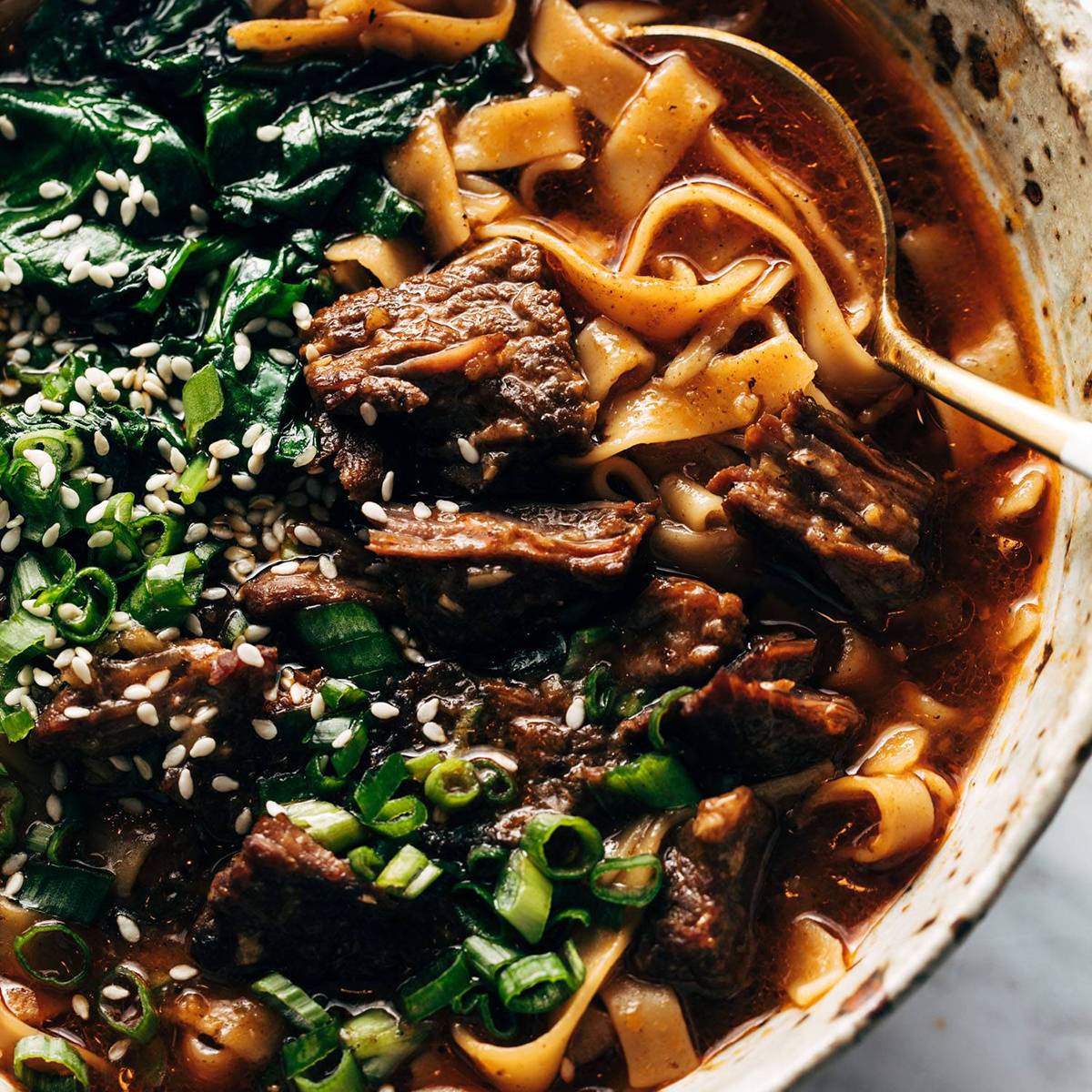 Spicy short rib noodle soup in a bowl.