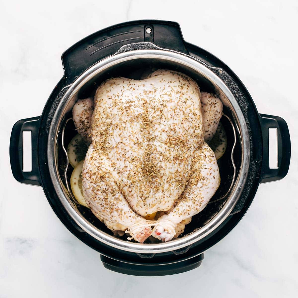 Raw whole chicken in the Instant Pot.