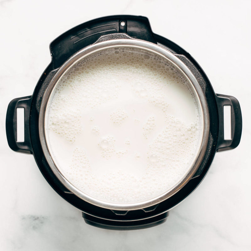 20 Magical Ways to Use Your Instant Pot Pinch of Yum