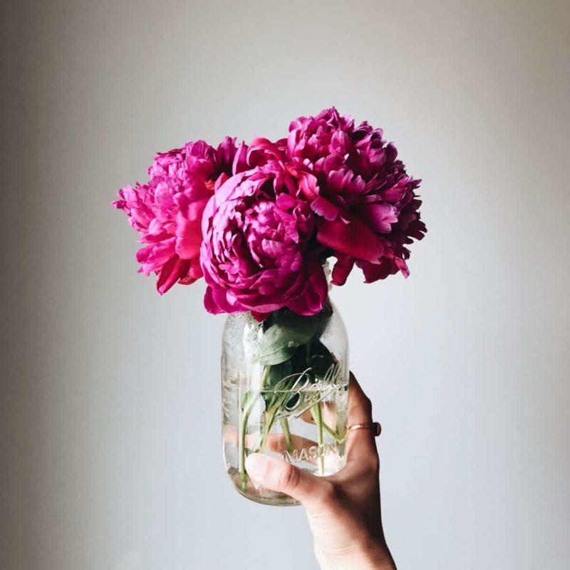 Person holding a jar with flowers.