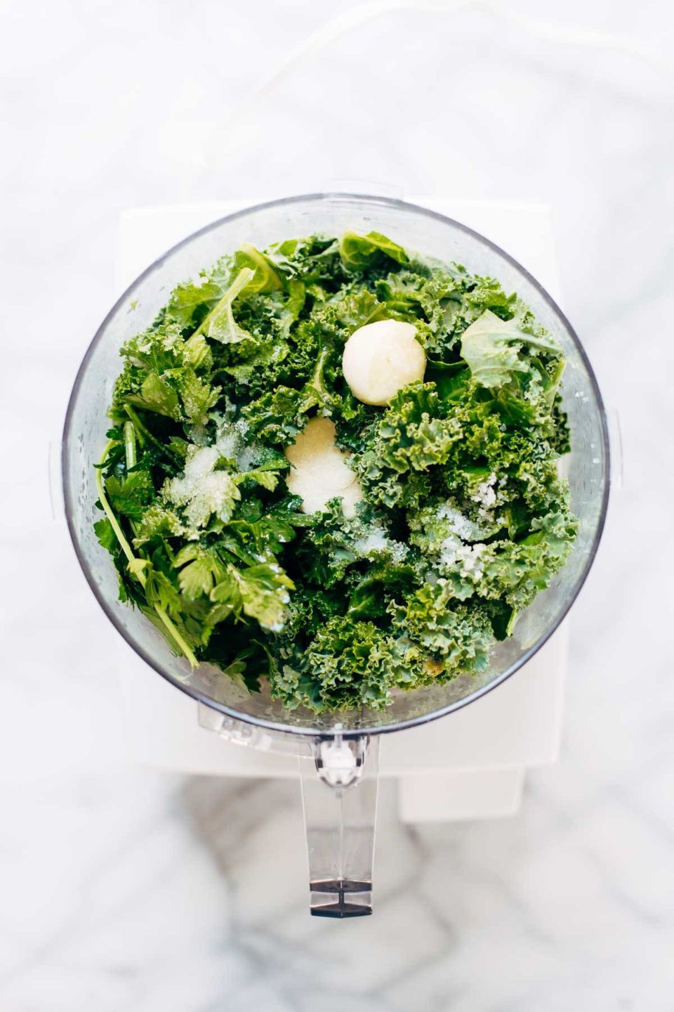 5 Minute Kale Pesto Recipe Pinch of Yum