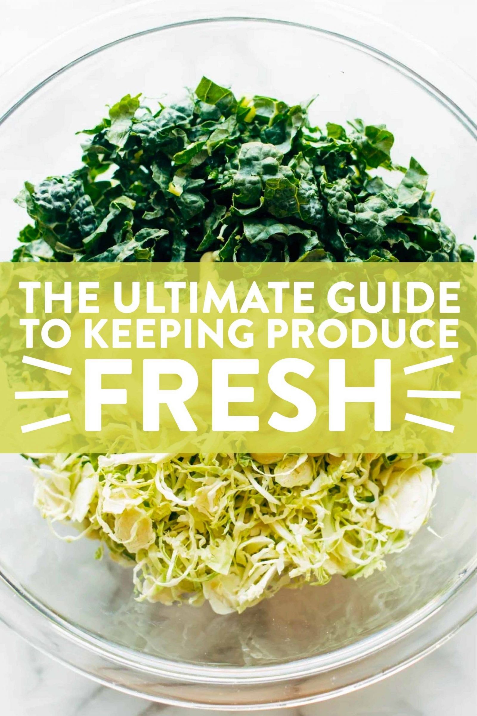 Keeping Salad Greens Fresh