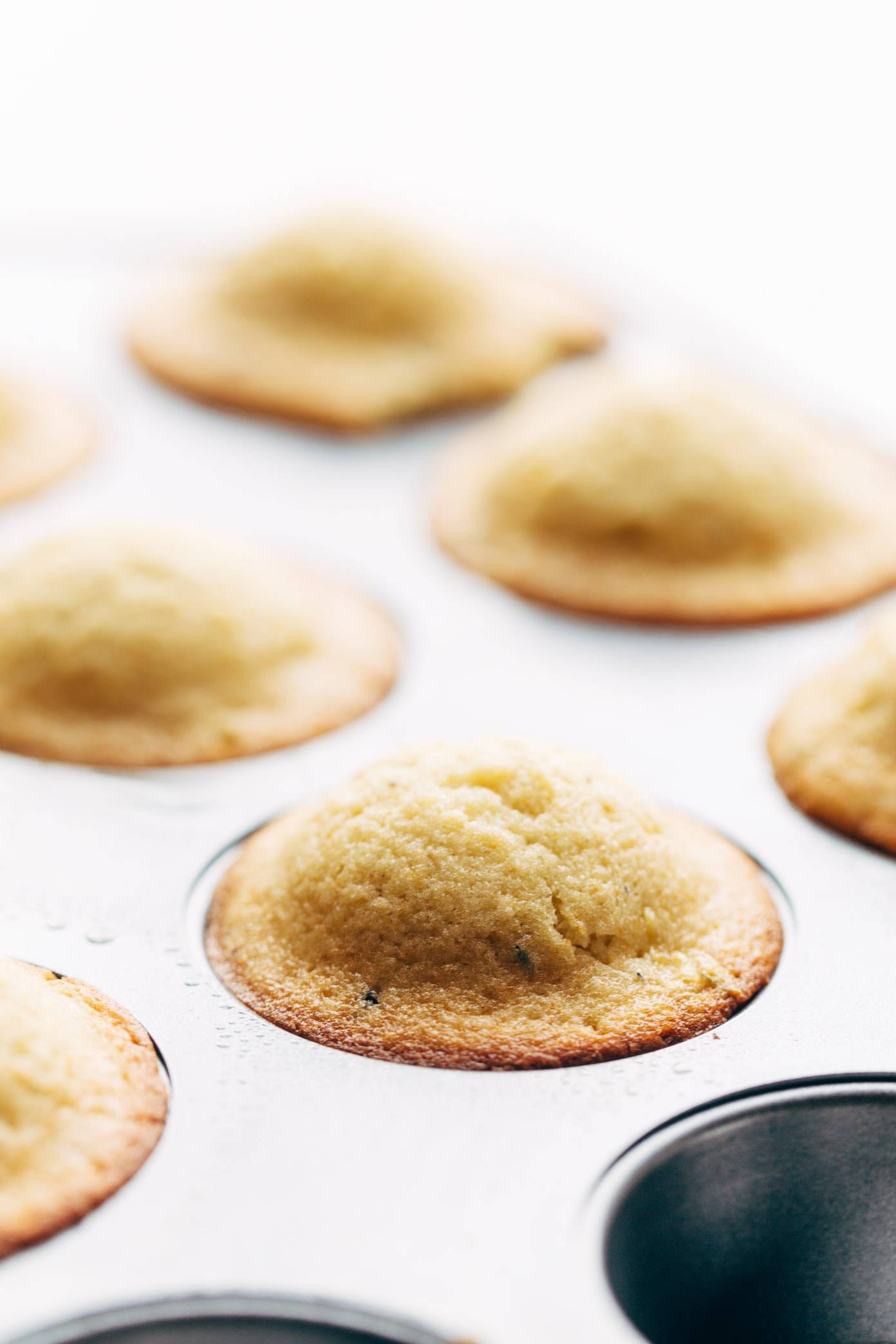 Lemon Lavender Muffins in a muffin tin