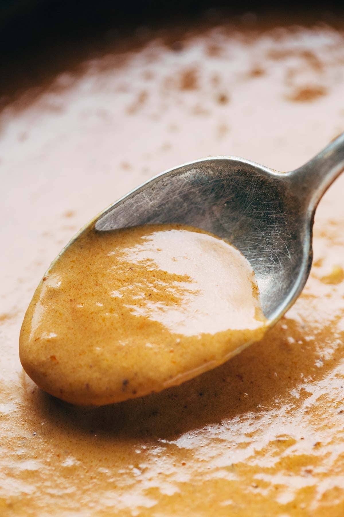 Masala Paste on a spoon