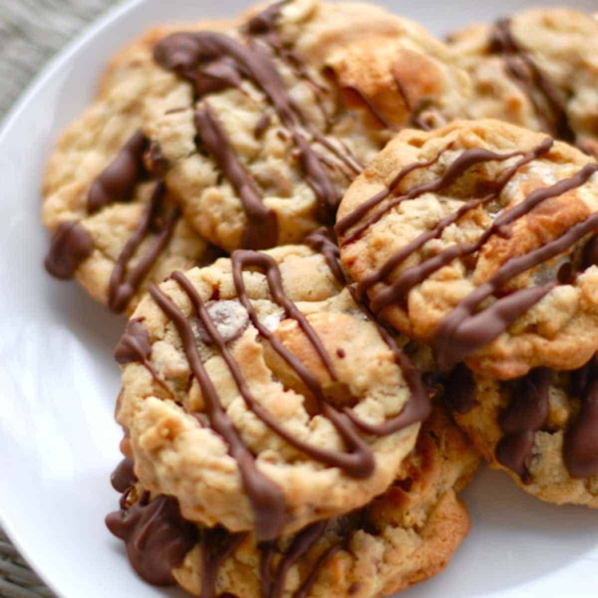 Marshmallow monster cookies with chocolate drizzle.