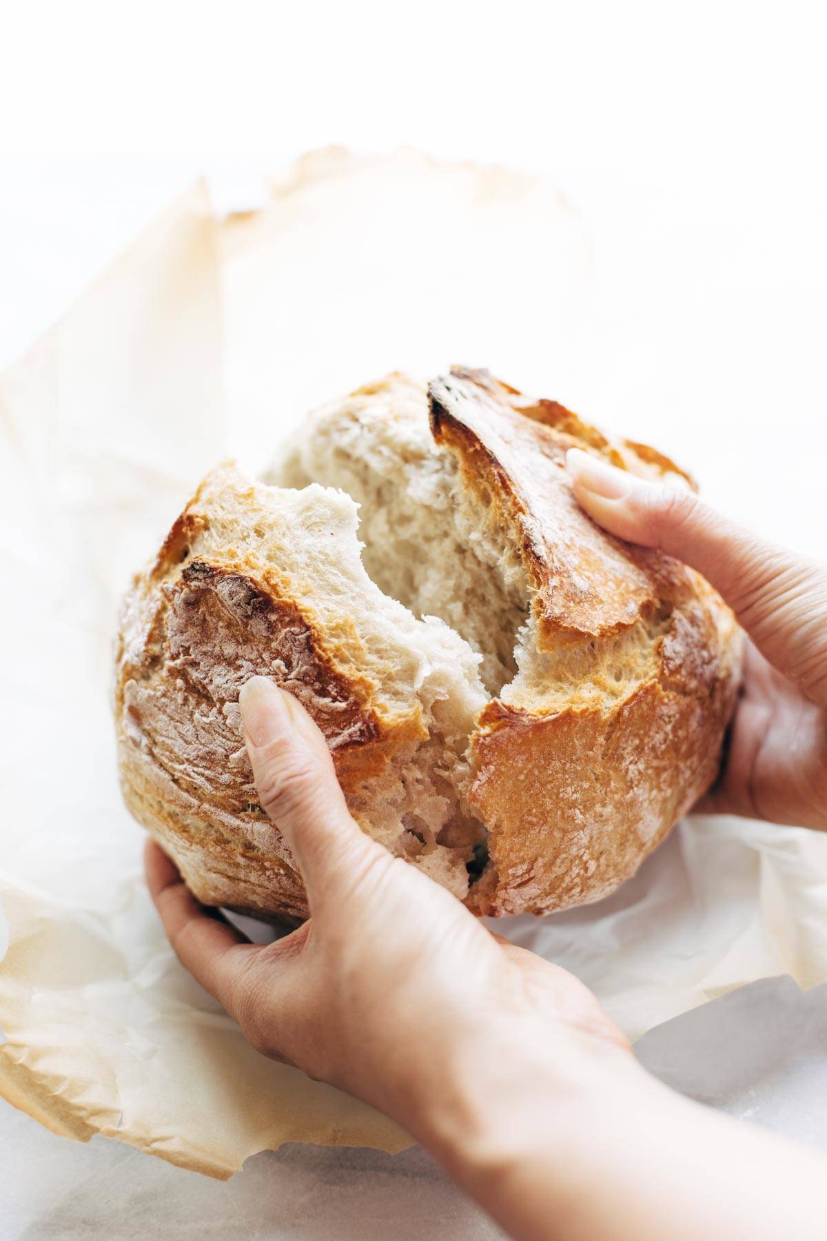 White hands tearing apart homemade no knead bread. 