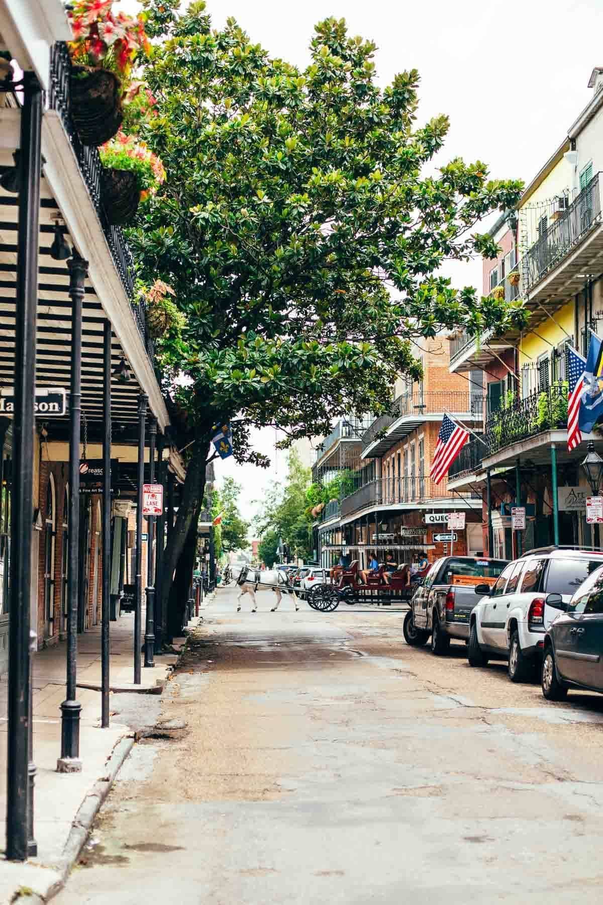 New Orleans | pinchofyum.com