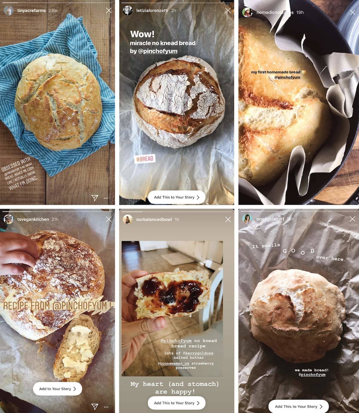 Collage of reader recipes for Miracle No Knead Bread. 